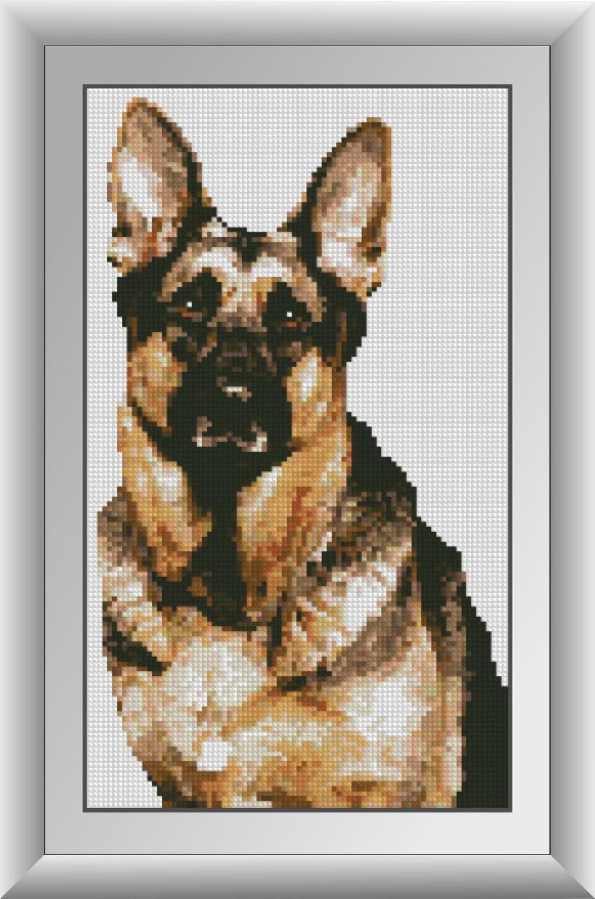 Алмазная мозаика Dream Art Овчарка 21x36 см (DA.30321)