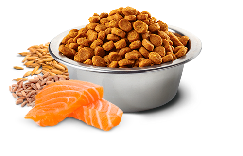 Корм сухий Farmina N&D Tropical Selection Medium & Maxi Salmon для дорослих собак середніх та великих порід з лососем 2 кг (42378) - фото 2 Корм сухий Farmina N&D Tropical Selection Medium & Maxi Salmon для дорослих собак середніх та великих порід з лососем 2 кг (42378) - фото 2