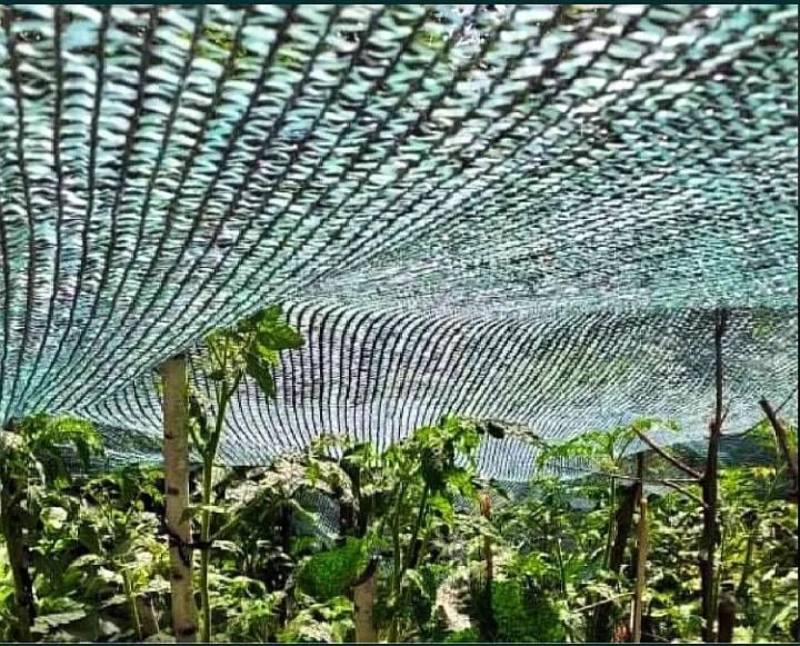 Сетка защитная затеняющая Добрая Сеточка 45% 10x3 м - фото 7