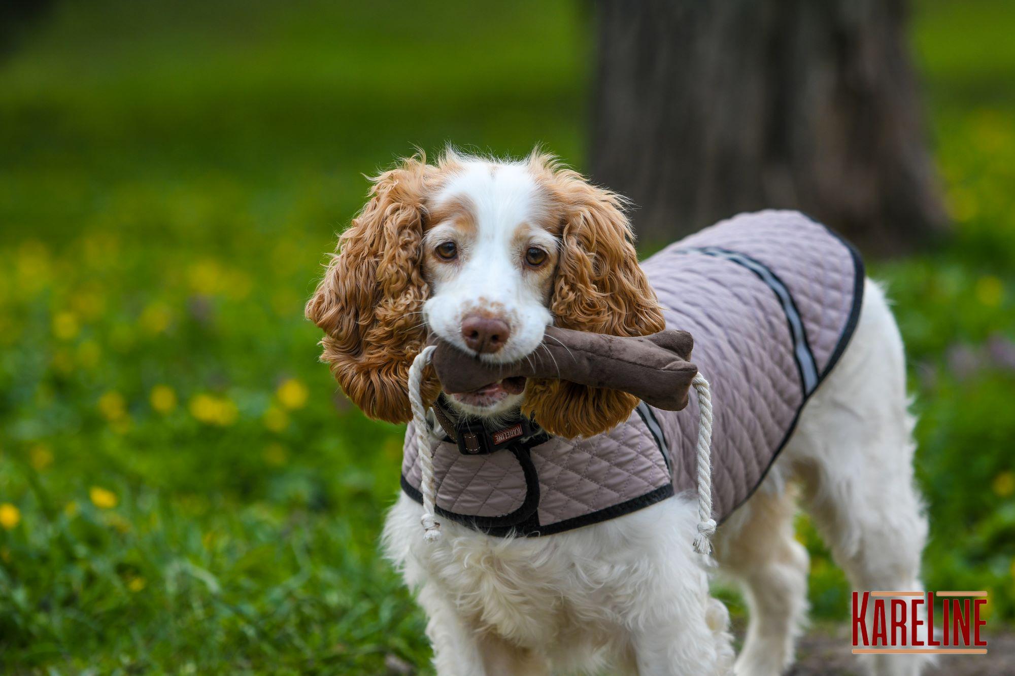 Попона KARELINE из стеганой плащевки на флисе ХХS (90030/43) - фото 3 Попона KARELINE из стеганой плащевки на флисе ХХS (90030/43) - фото 3