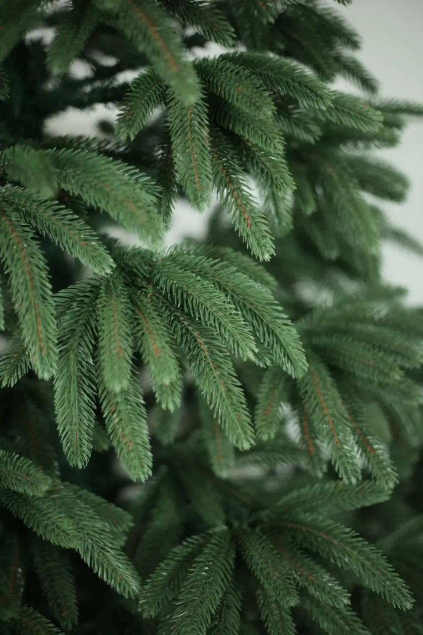 Искусственная елка литая Ель 2,1 м (12901691) - фото 3 Искусственная елка литая Ель 2,1 м (12901691) - фото 3