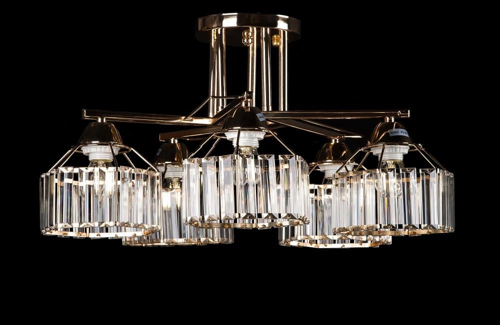 Люстра с плафонами Ray L9913/5 FGD (IR006482)