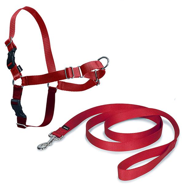 Шлея для собак Premier Easy Walk антирывок S Красный (729849131644)