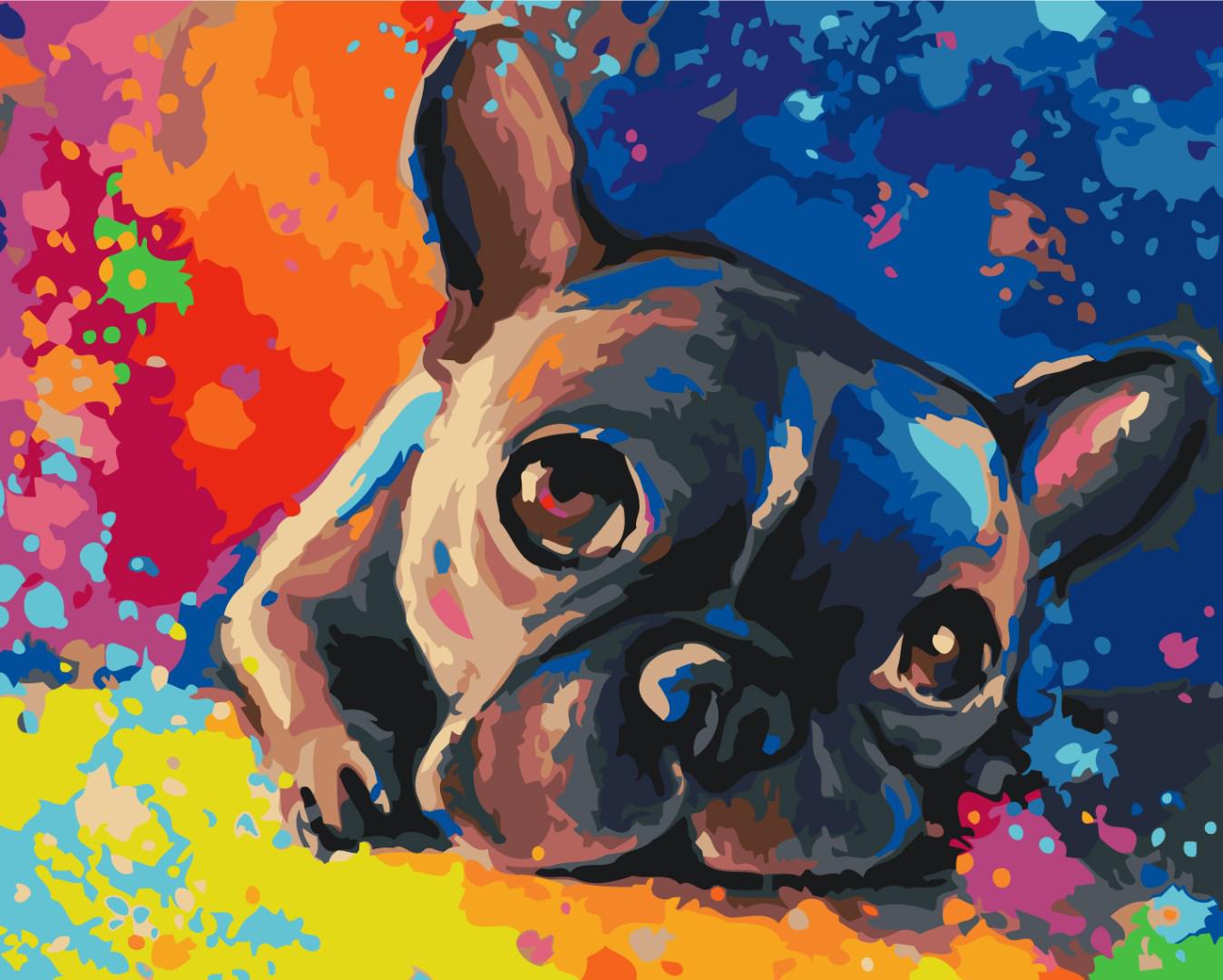 Картина по номерам Brushme Цветной бульдог 40x50 см (PBS28895)