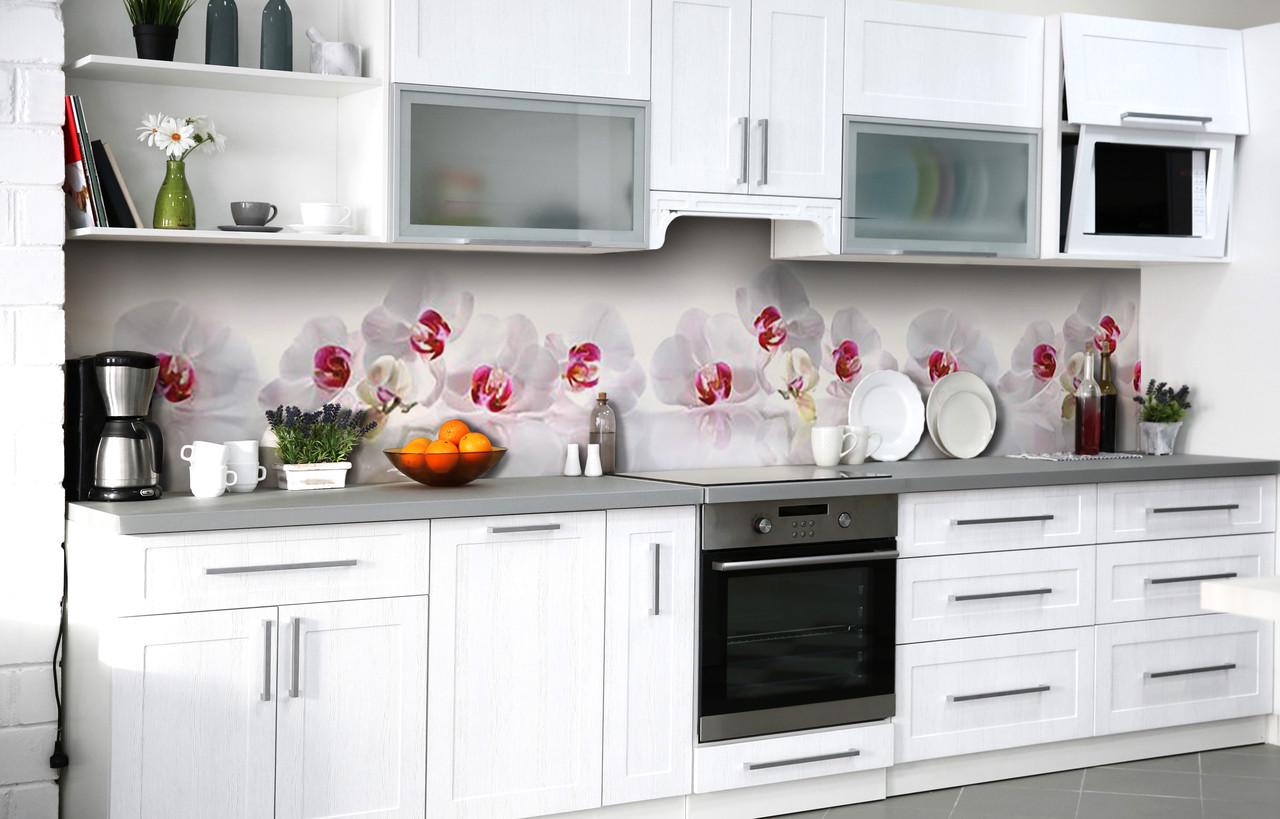 Кухонный фартук Орхидеи с розовой серединой виниловый самоклеющийся 65х250 см Белый Кухонный фартук Орхидеи с розовой серединой виниловый самоклеющийся 65х250 см Белый