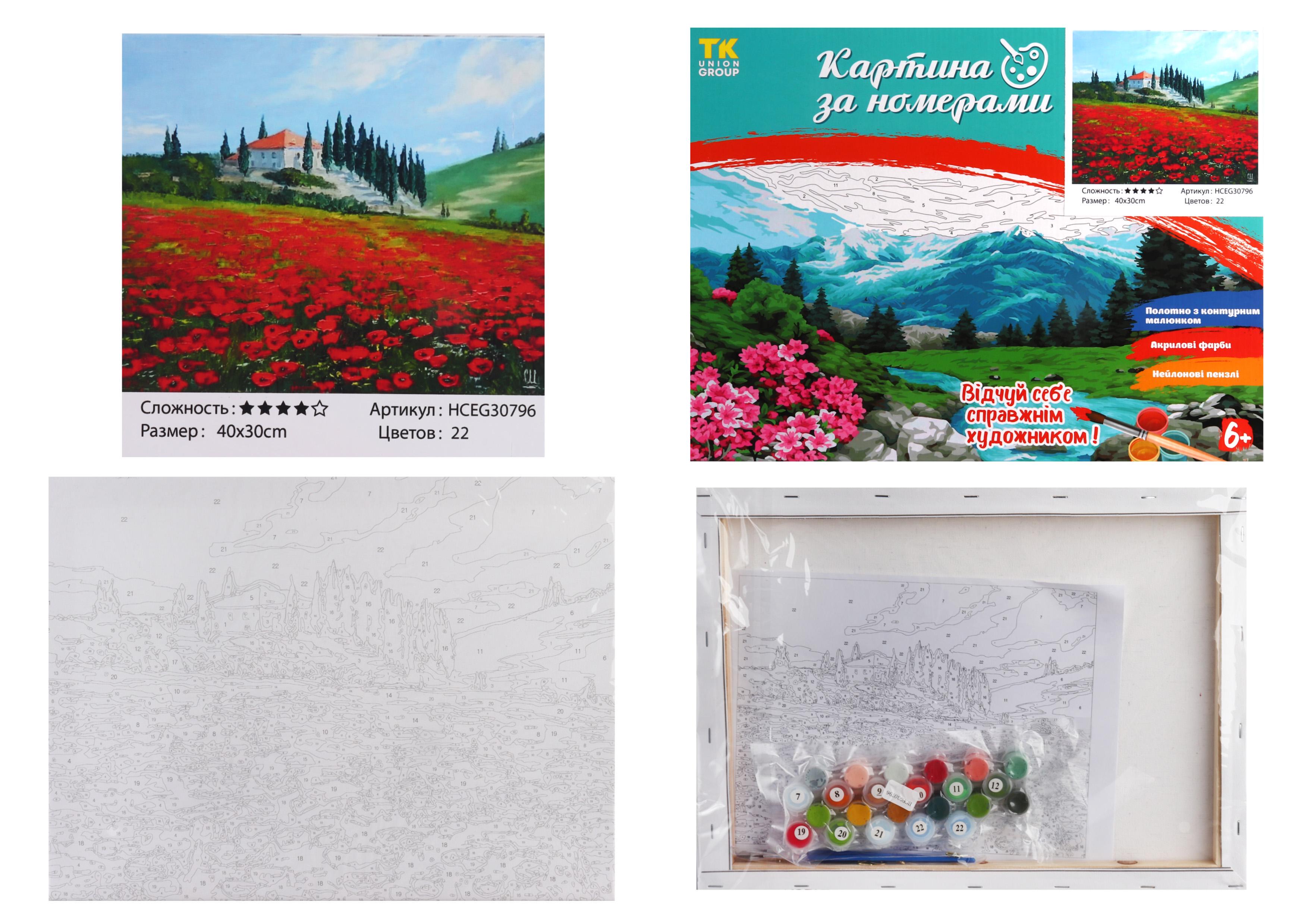 Картина за номерами TK Group Квіткове поле 30796 30x40 см (MTT-153852)