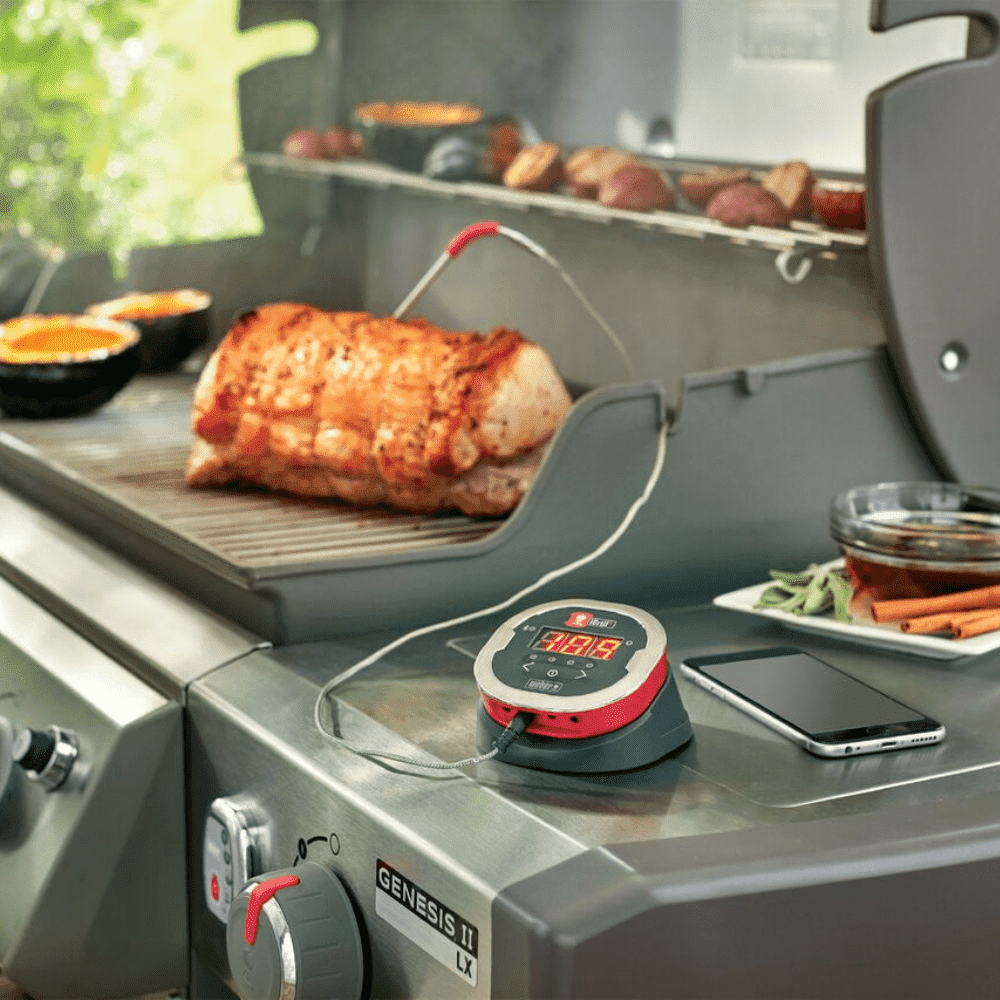 Термометр IGrill 2 Weber (7221) - фото 2