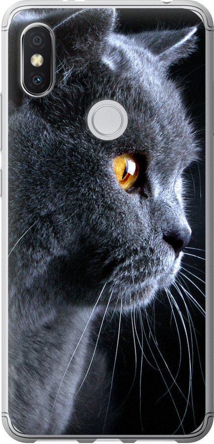 Чехол на Xiaomi Redmi S2 Красивый кот (3038t-1494-42517)