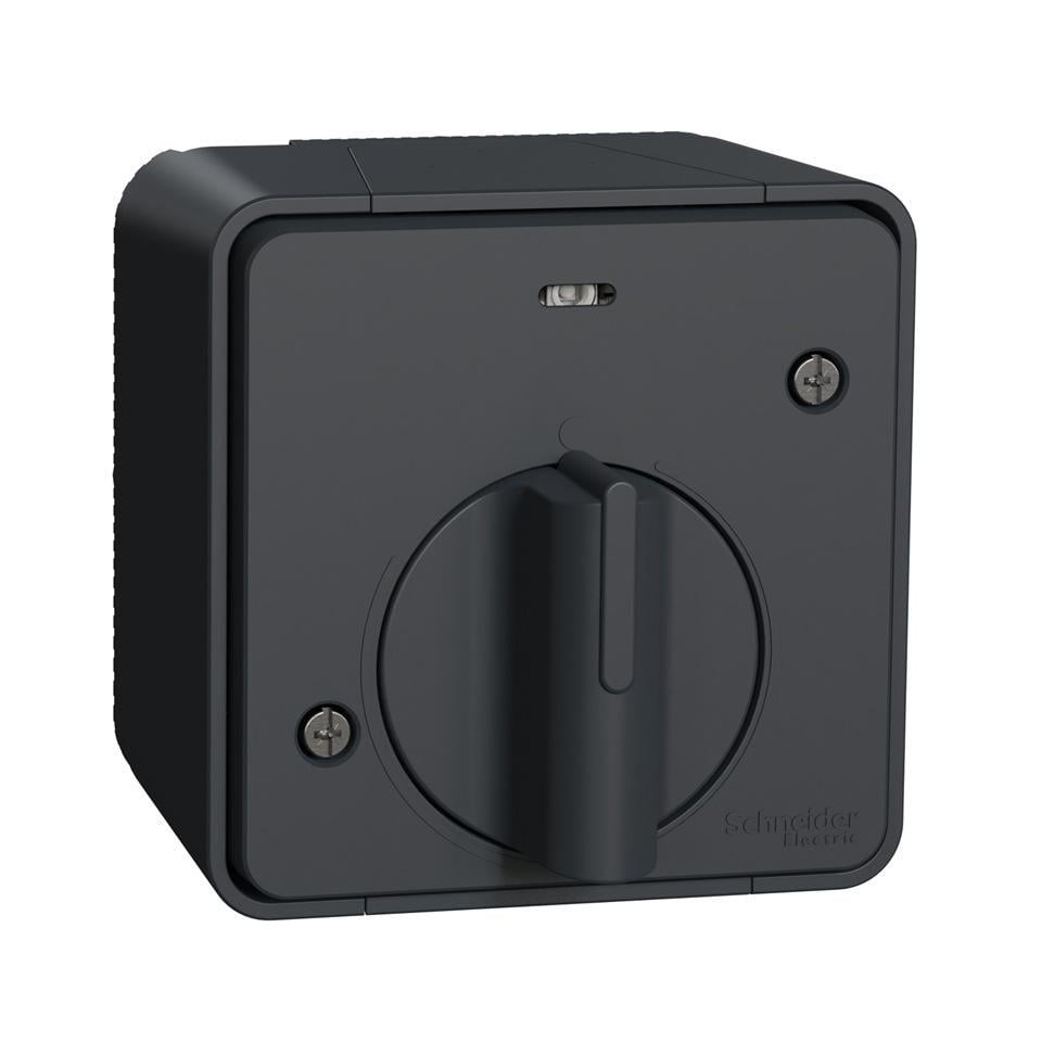 Вимикач з таймером Schneider Electric Mureva Styl IP55 Чорний (MUR35067)