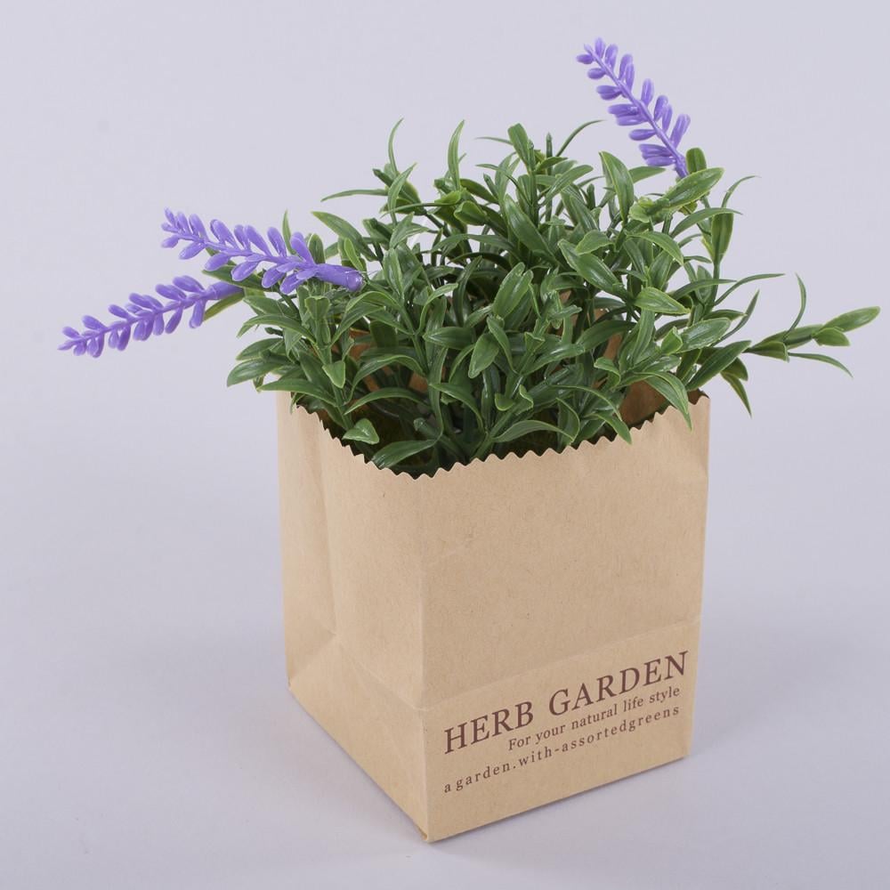 Лаванда в бумажном кашпо