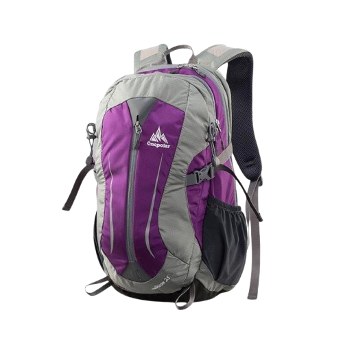 Рюкзак Onepolar W1595 20 л Черный (1729353970)