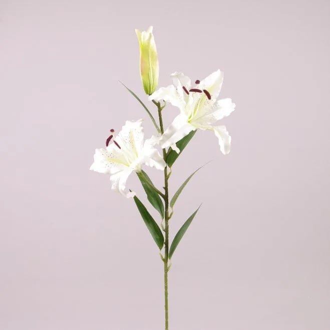Цветок Лилия Flora Белый (72796)
