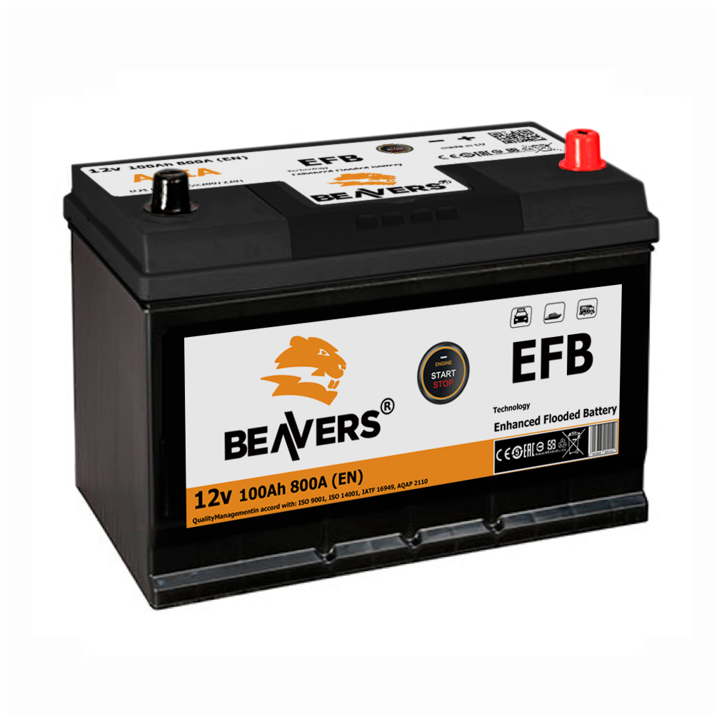 Акумулятор BEAVERS 6СТ-100 R+ ASIA EFB 800А