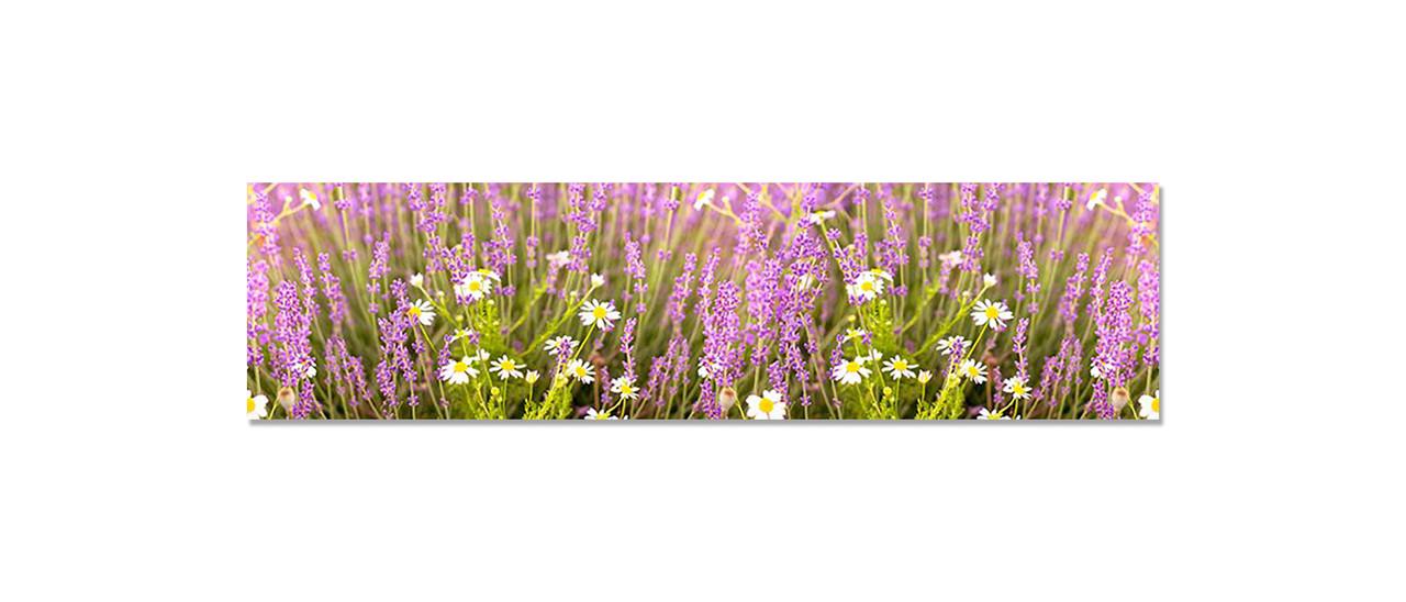 Наклейка виниловая на кухню Zatarga Полевые цветы 650х2500 мм (1289776323) Наклейка виниловая на кухню Zatarga Полевые цветы 650х2500 мм (1289776323)