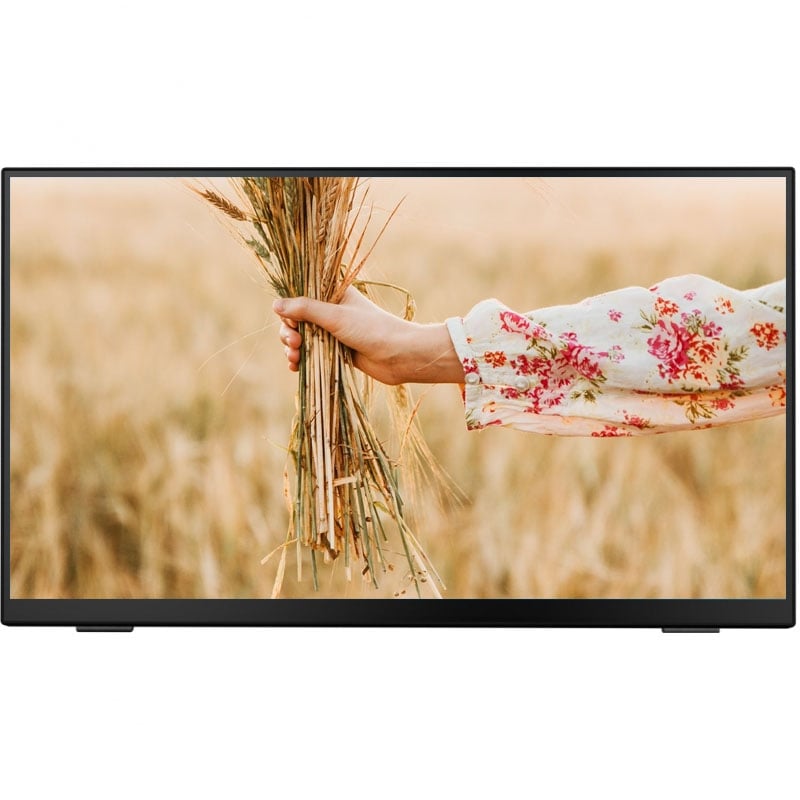 Монитор сенсорный iiyama T2255MSC-B1 IPS 1920x1080 Full HD 21.5" 6W (26832316)