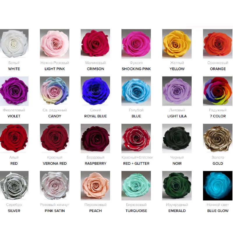 Букет роз в колбе LEROSH Elite Classic 43 см 5 шт. Красный (L-BK5E-16) - фото 2 Букет роз в колбе LEROSH Elite Classic 43 см 5 шт. Красный (L-BK5E-16) - фото 2