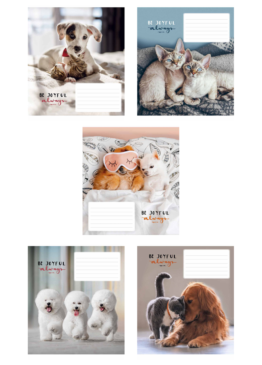 Тетради ученические Школярик ВД-лак. в линию 12 л. 5 шт. 3263 4820006470449_10