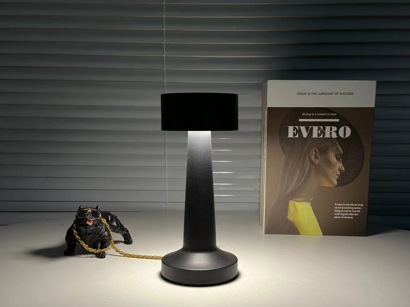 Лампа настольная светодиодная DOWN LIGHT R-SENSOR 2W Black - фото 5