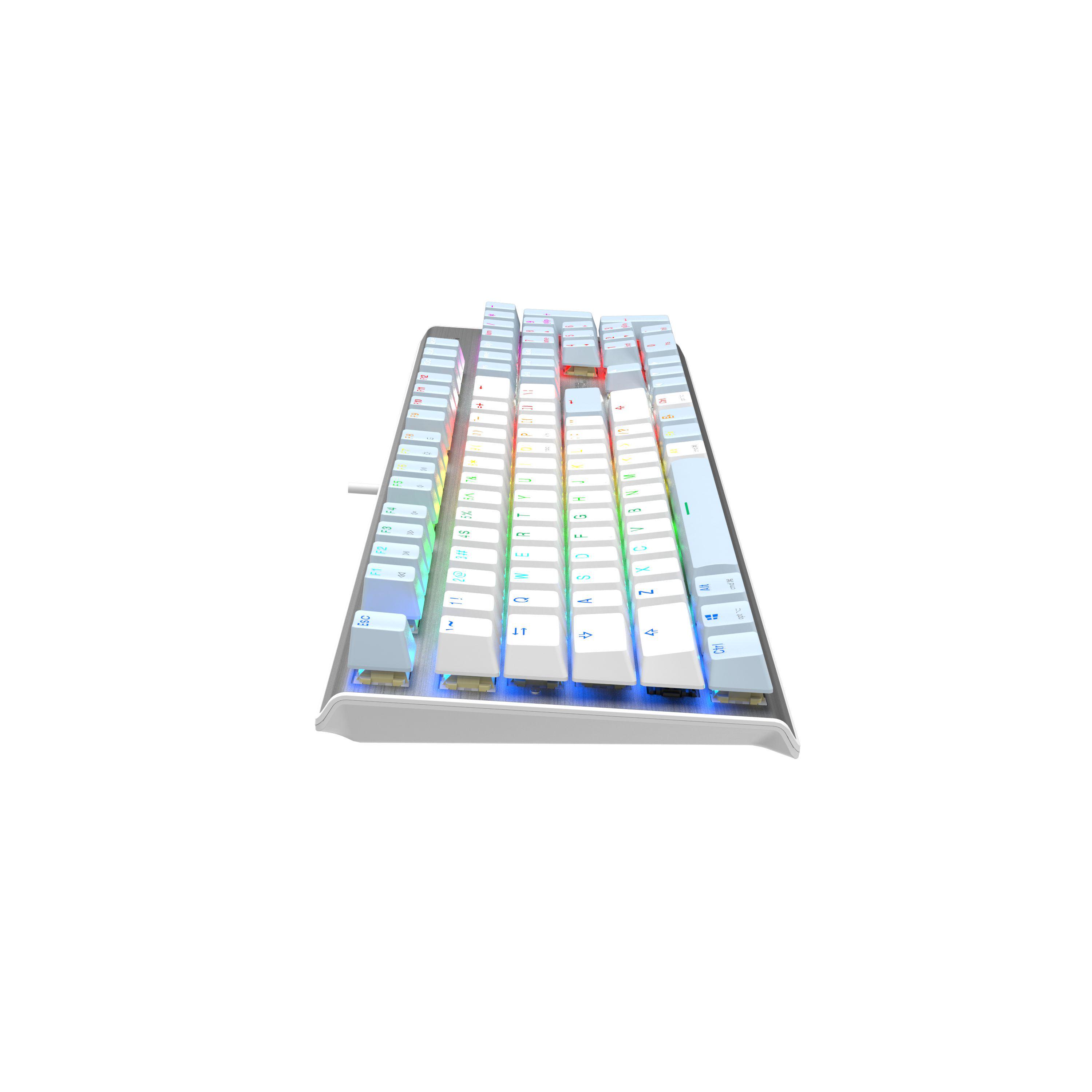 Клавиатура A4Tech Fstyler FS100 Icy Blue USB-A RGB Silver (26449317) - фото 5