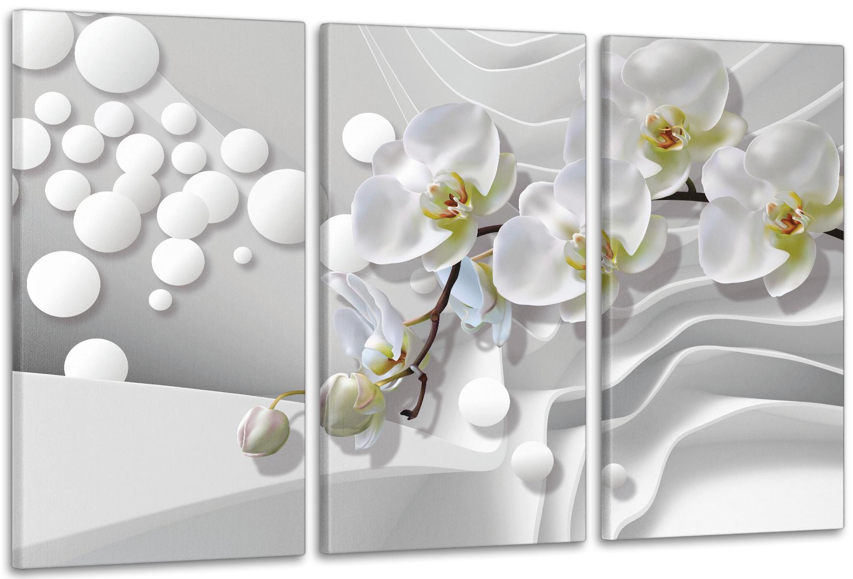 Картина модульная в гостиную/спальню Белая орхидея 100х150 см (ART-012_3A)