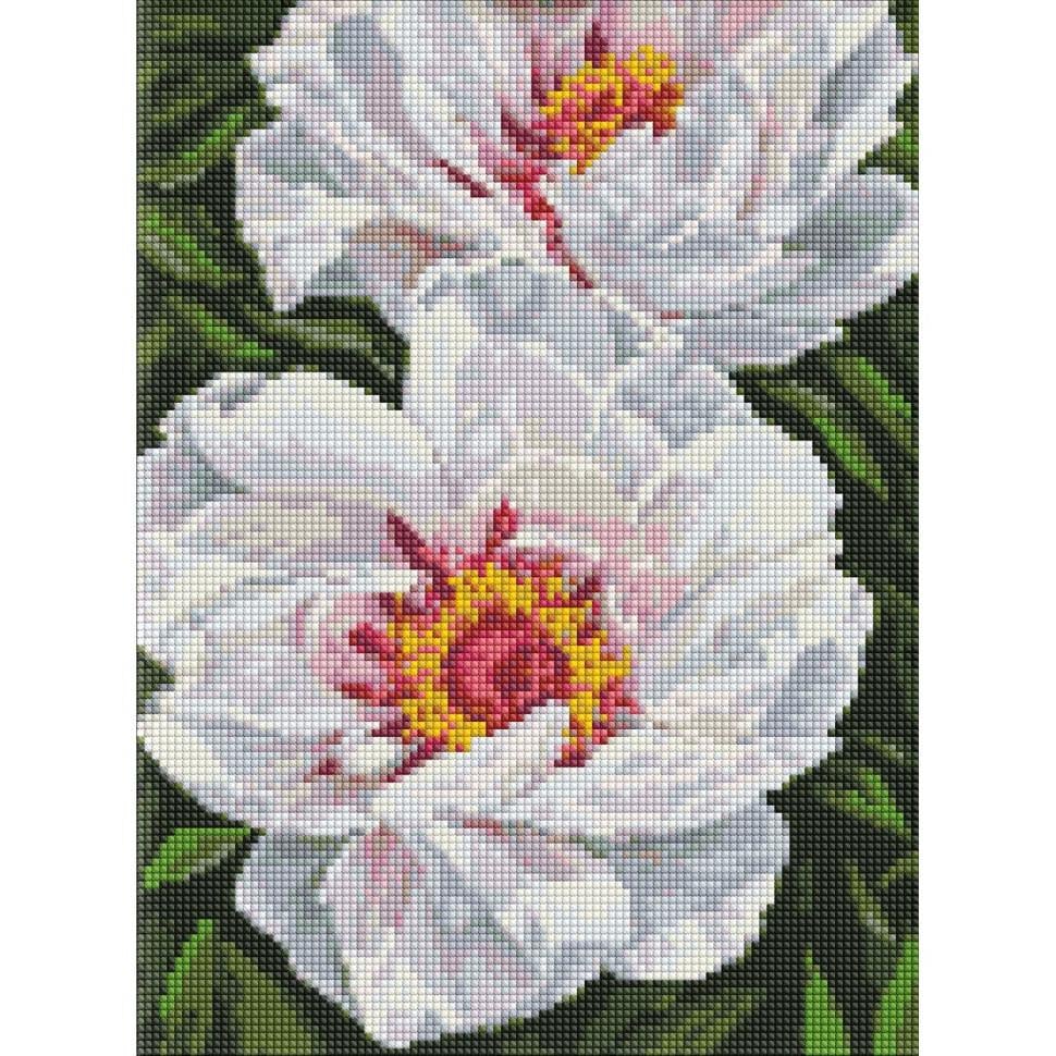 Алмазна мозаїка Ideyka Білі півонії AMO7753 30х40 см (RLT35942)