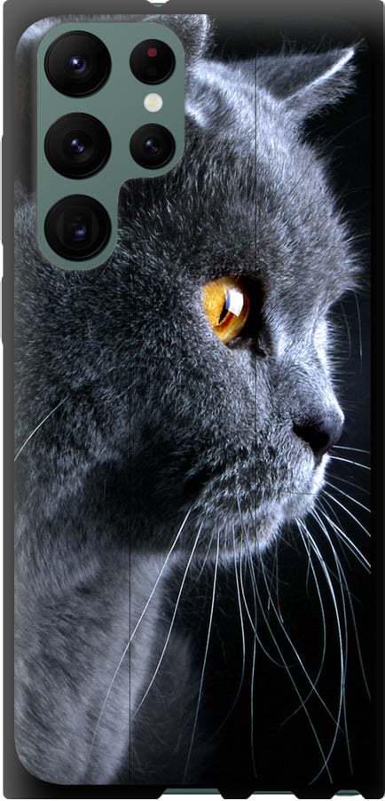 Чехол на Samsung Galaxy S22 Ultra Красивый кот (3038b-2500-42517)