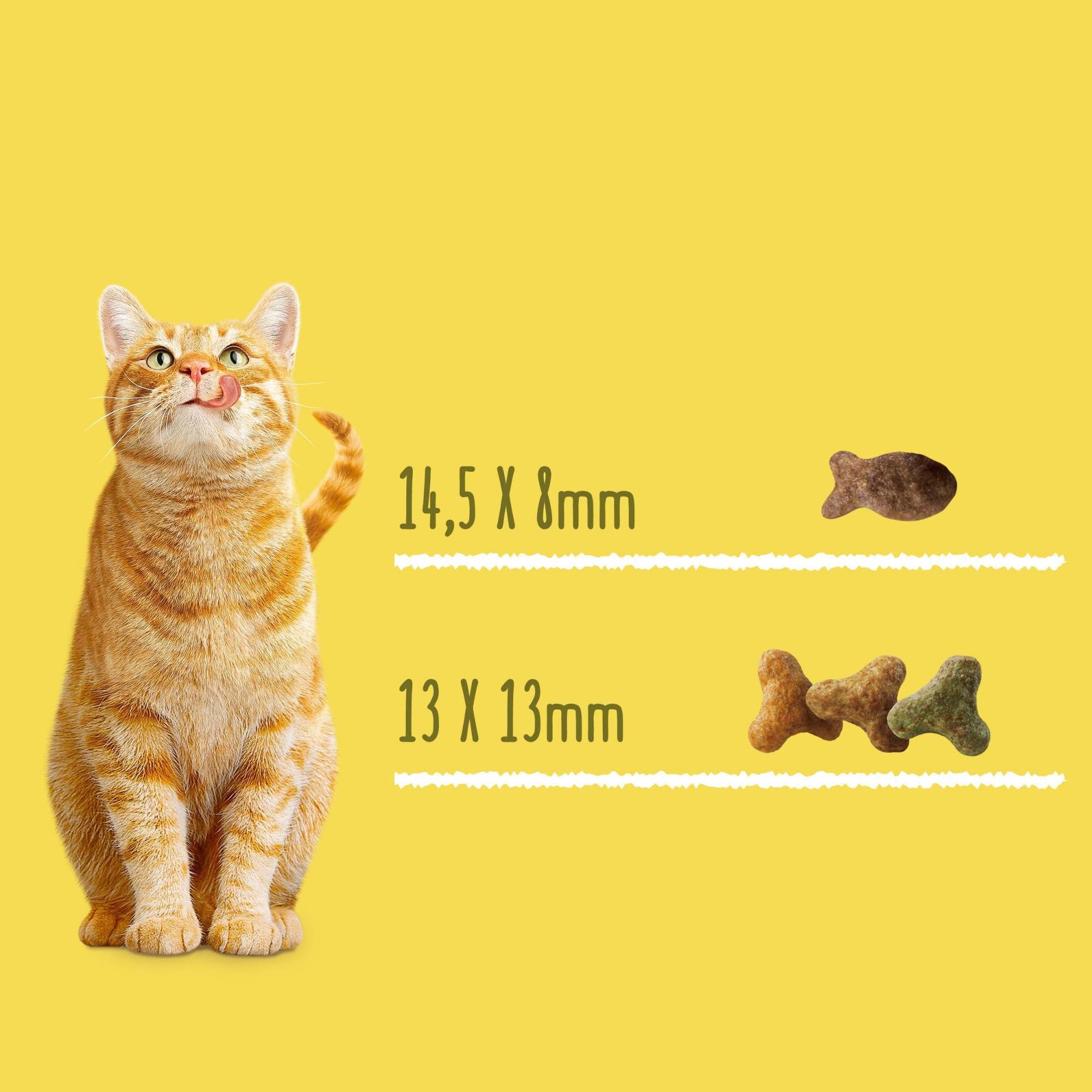 Сухий корм для котів Purina Friskies з лососем та овочами 1,5 кг (7613033923562) - фото 7 Сухий корм для котів Purina Friskies з лососем та овочами 1,5 кг (7613033923562) - фото 7