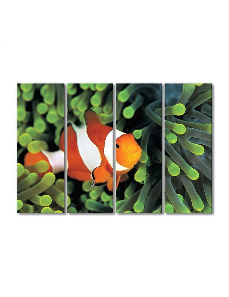 Картина модульная Рыба-клоун 4 модуля 80x120 см