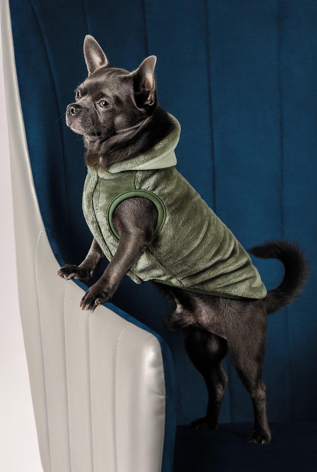 Жилет для собак Природа LOUIS L Оливковий (4823082427499) - фото 3 Жилет для собак Природа LOUIS L Оливковий (4823082427499) - фото 3