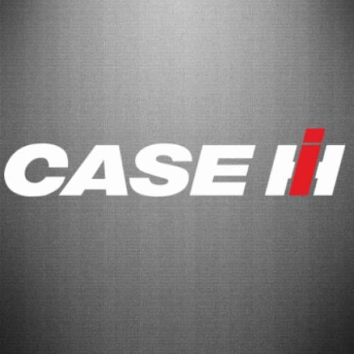 Наклейка Case IH Logo (11229306-2-169006-45 x 9 см.)