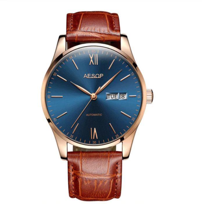 Наручные часы Aesop с автоподзаводом Brown (1037343232)