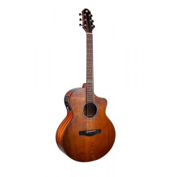 Электроакустическая гитара Alfabeto Solid EleganceEQ Awesome с чехлом (56641)