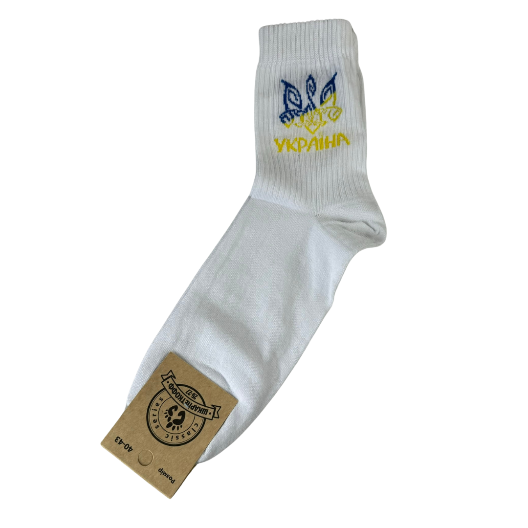 Носки мужские патриотические Украина р. 40-45 (Ш-06)