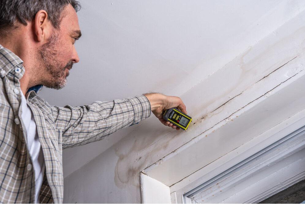 Вимірювач вологості RYOBI RBPINMM1 - фото 8