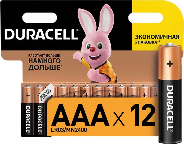 Батарейки Duracell AAA LR03 MN2400 12 шт. (9050022) - фото 1