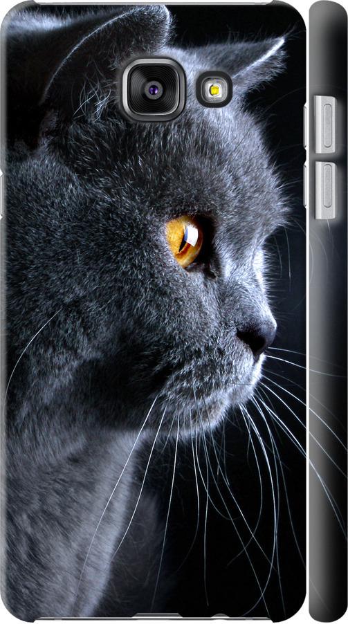 Чехол на Samsung Galaxy A5 (2016) A510F Красивый кот (3038c-158-42517)