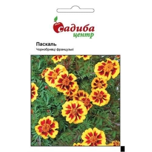 Семена цветов Усадьба Бархатцы Паскаль 0,2 г (SZ-1022)