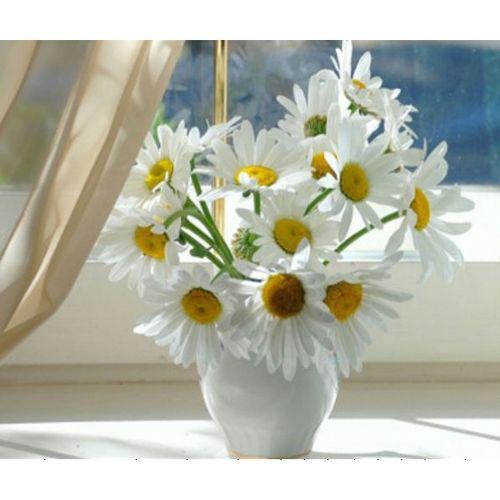 Картина по номерам Josef Otten Цветы Ромашки 30х40 см в термопакете (1674EKTL_O-mt) Картина по номерам Josef Otten Цветы Ромашки 30х40 см в термопакете (1674EKTL_O-mt)