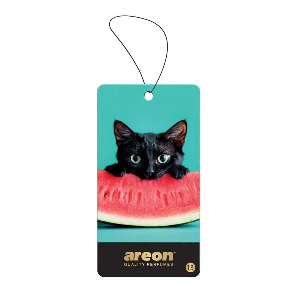 Ароматизатор на зеркало Areon Wild Black Cat (AW13)