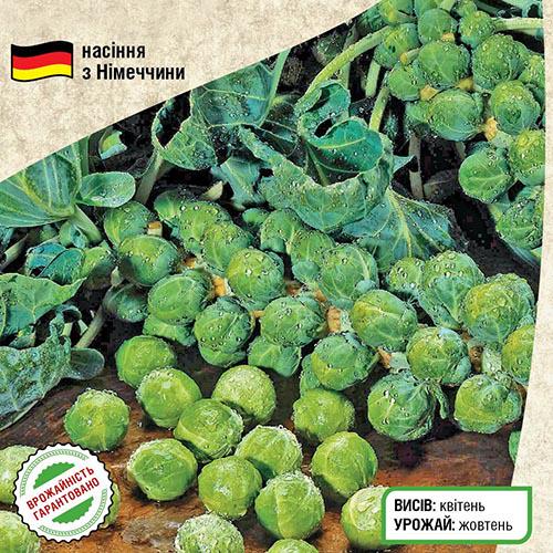 Насіння Капуста Florium Брюссельська Розелла (10238) - фото 2
