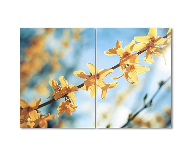 Картина модульная Ветка Форзиции 2 модуля 80x120 см
