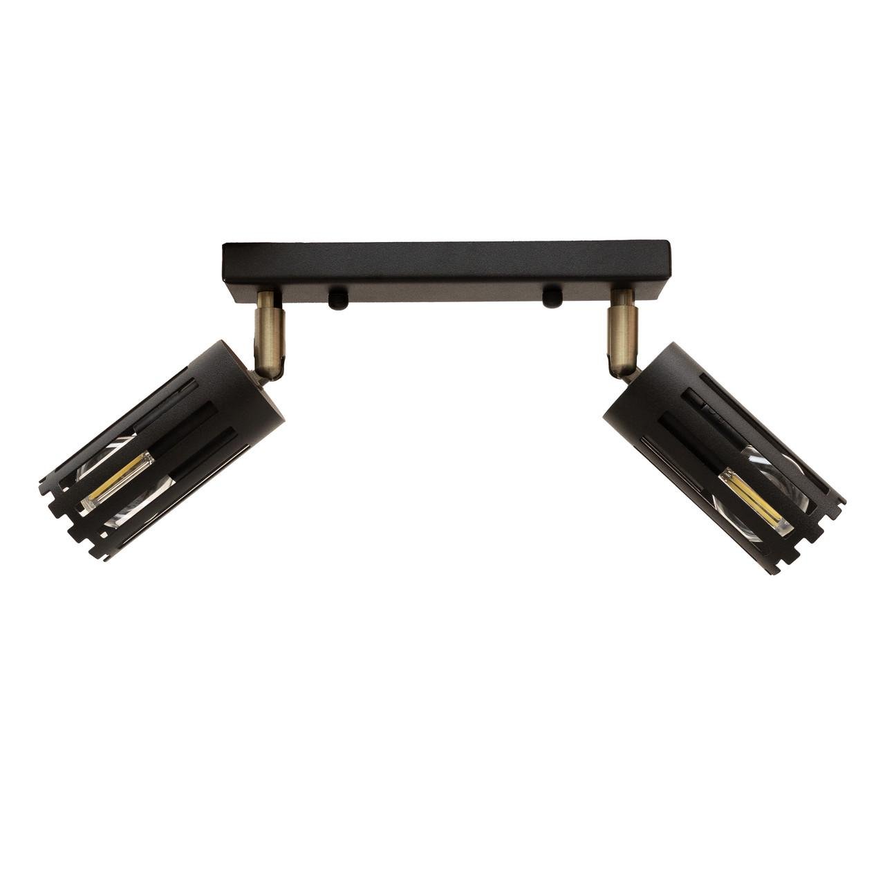 Спот-светильник MSK ELECTRIC Teramo с поворотным механизмом под две лампы Е27 Черный (NL 18050-2 BK)