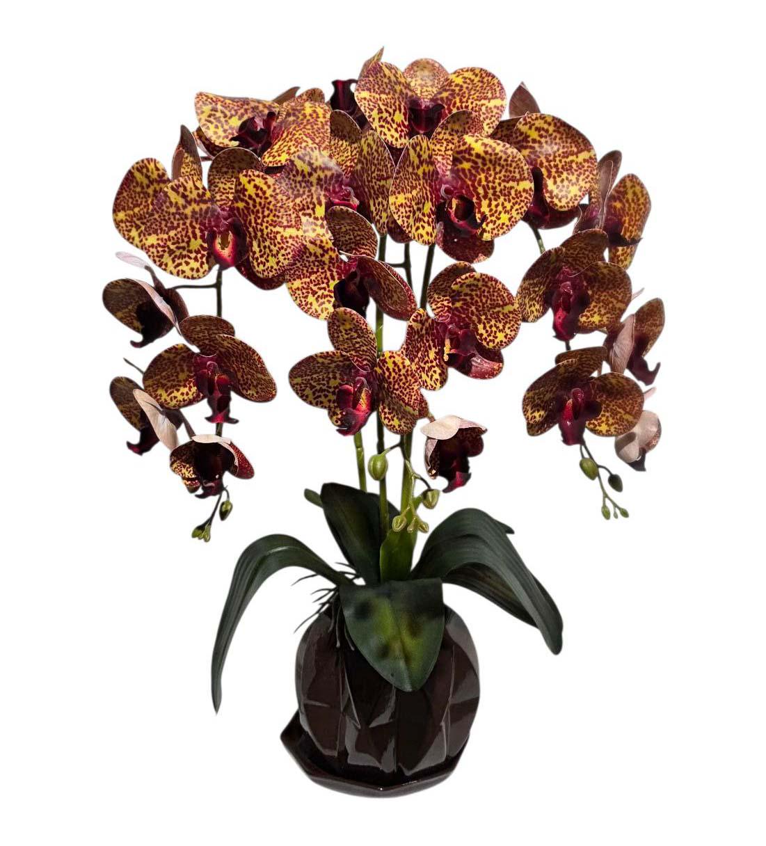 Орхидея искусственная Ravisto 52x32 см Желто-бордовый (0515-3)
