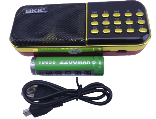 Радиоприемник BKK B837 USB/MP3/FM (44)