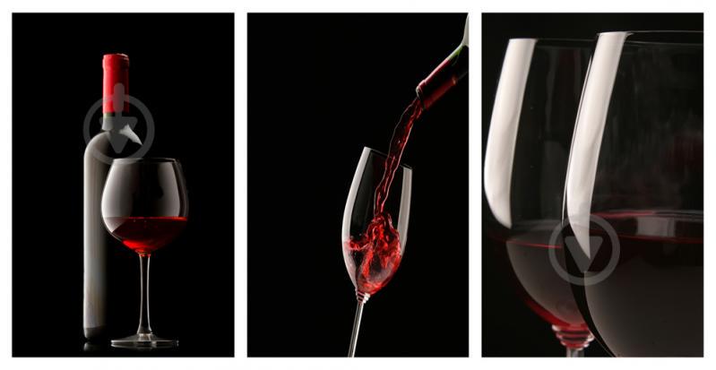 Модульная картина Декор Карпаты 100х53 см Бокал (M3-4009)