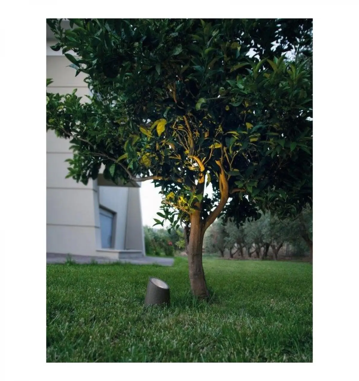 Светильник уличный Nova Luce 9470581 FOX - фото 3 Светильник уличный Nova Luce 9470581 FOX - фото 3