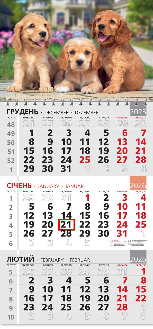 Календар на 2026 р. Офісний 3 Кокер Спаніель