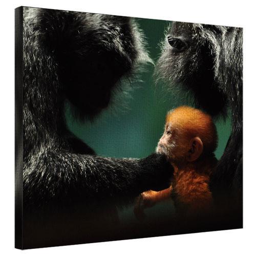 Картина на холсте Обезьянки 40х50 см (H4050_YM015)