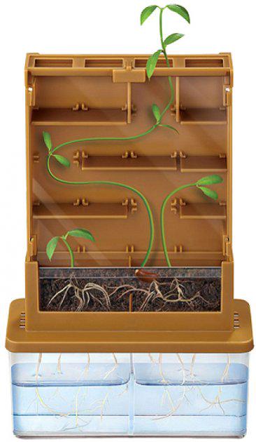 Наукова дитяча гра Grow-A-Maze: Виростити лабіринт Руді пластикова 17х14х4 см (Д874у)