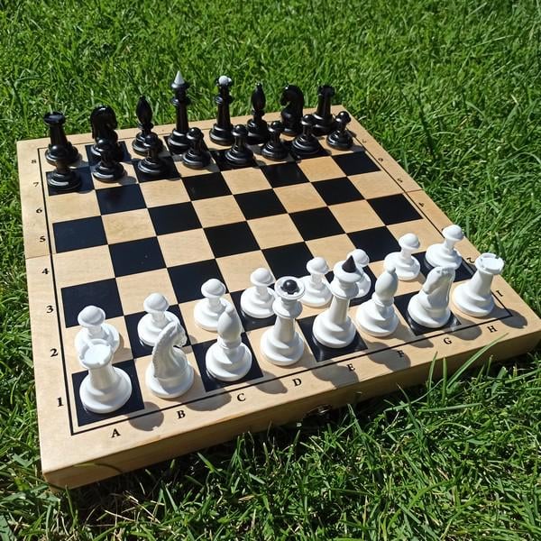 Шахматные фигуры №4 с доской